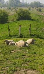 image023.jpg