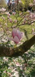 image028.jpg