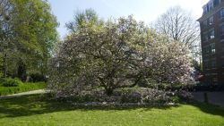 image030.jpg